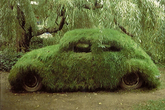 cam3948car.jpg